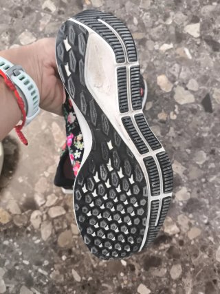 Nike Pegasus 36 Flores