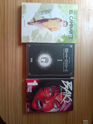 Colección de mangas de gran formato