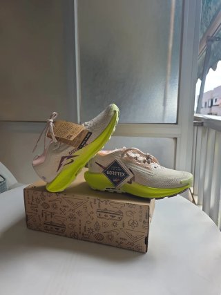 Nike Pegasus Trail Gore-Tex Beige/Verde