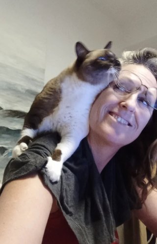 Cuidado de mascotas, Gato o perro