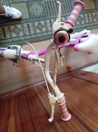 Bicicleta infantil Skye 16 pulgadas