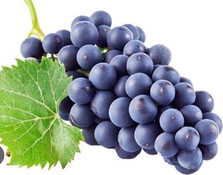 BUSCO TRABAJO EN LAS UVAS SOY UN MATRIMONIO