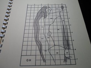 Atlas Estereotáxico d Tronco Encefálico de la RaTA