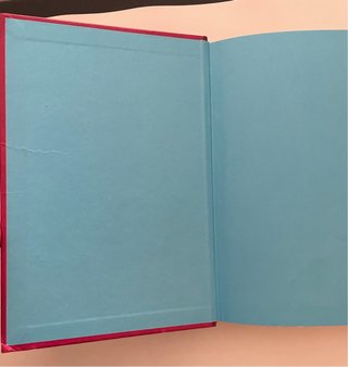 Diari d ́una penjada 1. Manual de supervivència ...