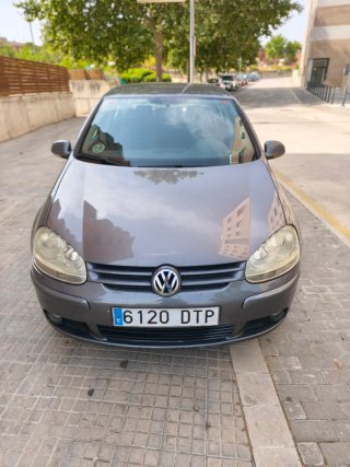 Volkswagen Golf 2006 1.9 TDI 105 5P
