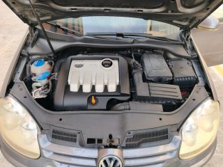 Volkswagen Golf 2006 1.9 TDI 105 5P