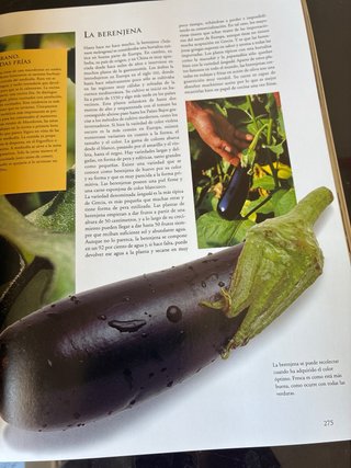 Culinaria Grecia la cocina griega