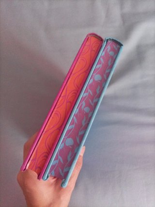 Libros Disney, preciosas novelas.