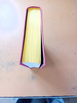 Libro Napoleón de Emil Ludwig