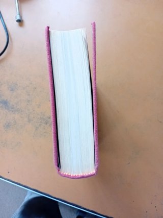 Libro Napoleón de Emil Ludwig