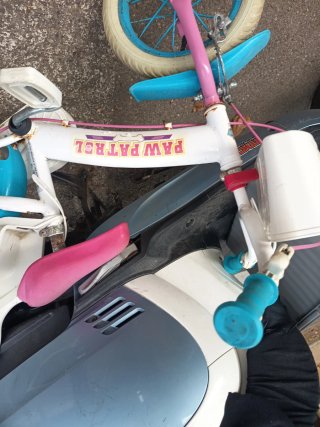 Bicicleta infantil Paw Patrol