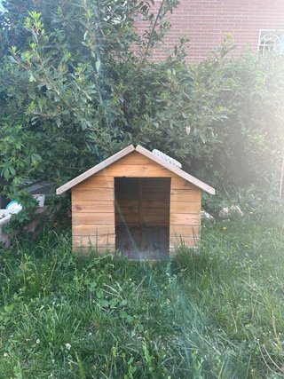 Caseta Perro Mediana/Grande Madera Pino