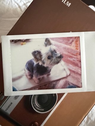 Cámara Fujifilm Instax Mini Evo