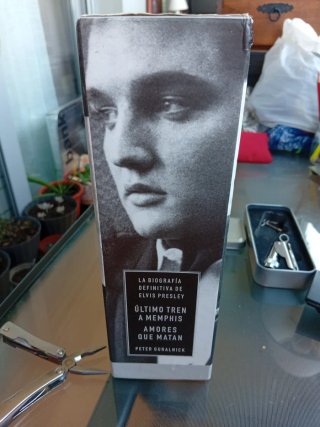 Elvis: La Construccion Del Mito Ultimo Tren a M...