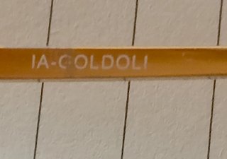 Gafas Meller IA GOLDOLI Doradas