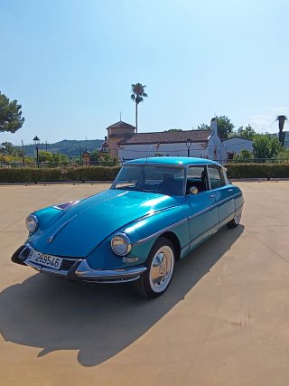 Citroen DS 19 tiburon  1962