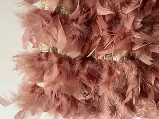 Minifalda rosa con plumas y detalles dorados