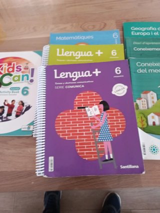 Lote libros 6 primaria