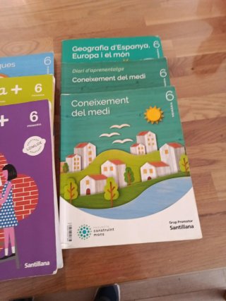 Lote libros 6 primaria