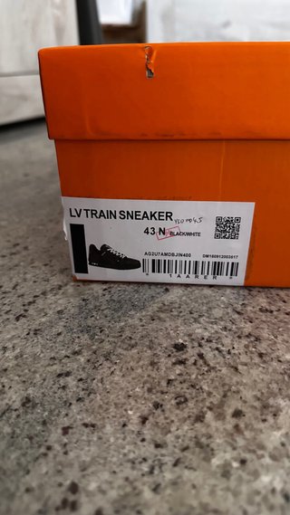 Louis Vuitton Trainer 43