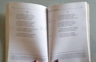 Antología de poesía barroca (Biblioteca Didacti...