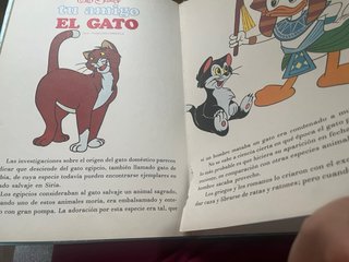 Lote libros antiguos.