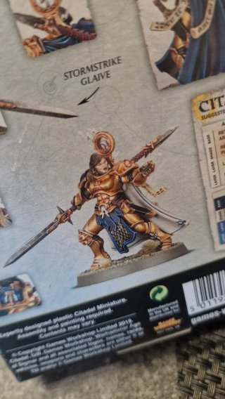 Stormcast Eternals Knight-Questor Larissa