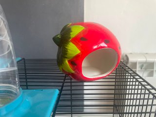 Jaula Hámster Accesorios Tubos Rueda Casa Ceramica