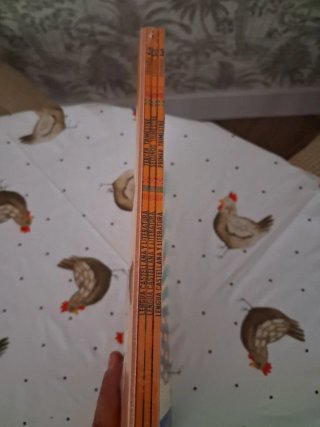 Lengua castellana y literatura 3 Saberes básico...