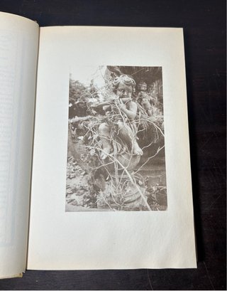 El diario de Ellen Rimbauer. Mi vida en Rose Red.