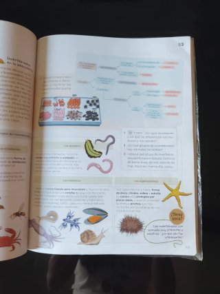 Libro 3° Primaria Ciencias Naturales