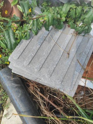Baldosas de hormigón para exterior