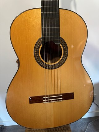 Guitarra Martinez MFG RS
