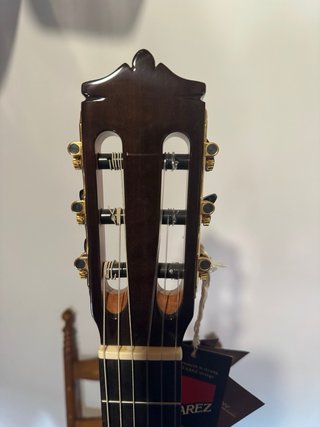Guitarra Martinez MFG RS