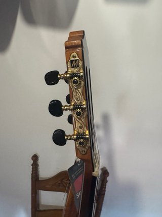 Guitarra Martinez MFG RS