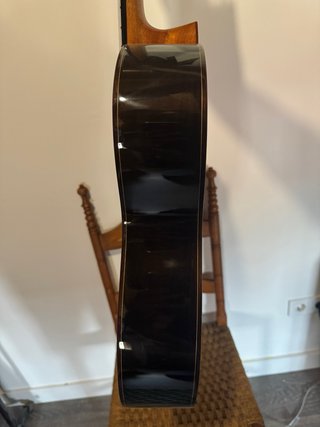 Guitarra Martinez MFG RS