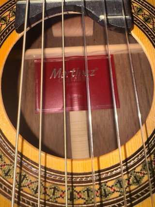 Guitarra Martinez MFG RS