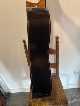 Guitarra Martinez MFG RS