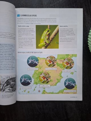 Proyecto: FanFest - Biología y Geología 1 ESO