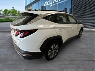 Hyundai Tucson 1.6 CRDI 48V Maxx DCT 100 kW (136 CV)