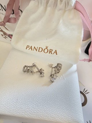 Pendientes trepadores Pandora plata