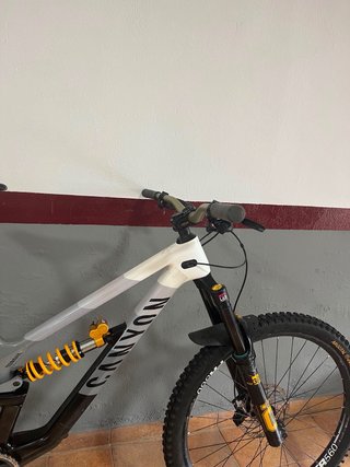 Canyon Torque Fabio Wibmer