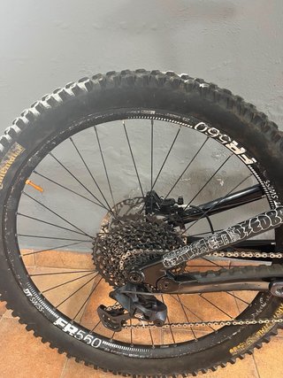 Canyon Torque Fabio Wibmer