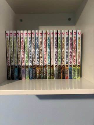 The promised Neverland