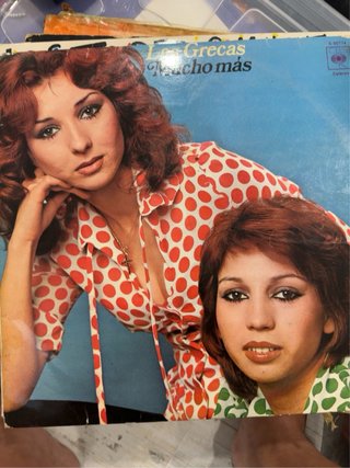 Lote Vinilos Antiguos Varios Artistas