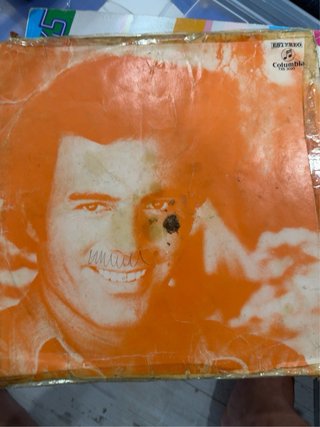 Lote Vinilos Antiguos Varios Artistas