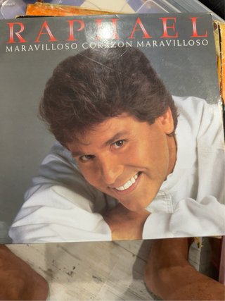 Lote Vinilos Antiguos Varios Artistas