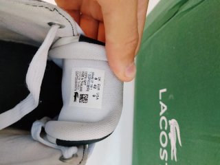 Zapatillas Lacoste Talla 42 + Caja
