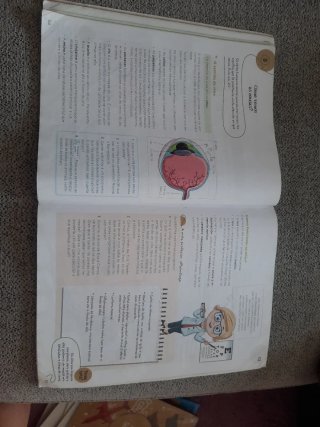 Ciencias da Natureza 4