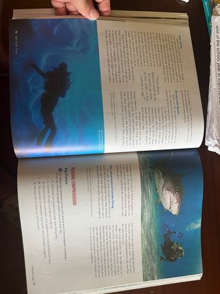 Reading and Vocabulary Focus 3